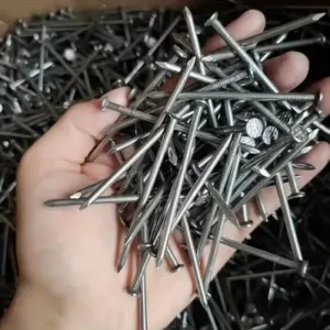 100 piece of nails